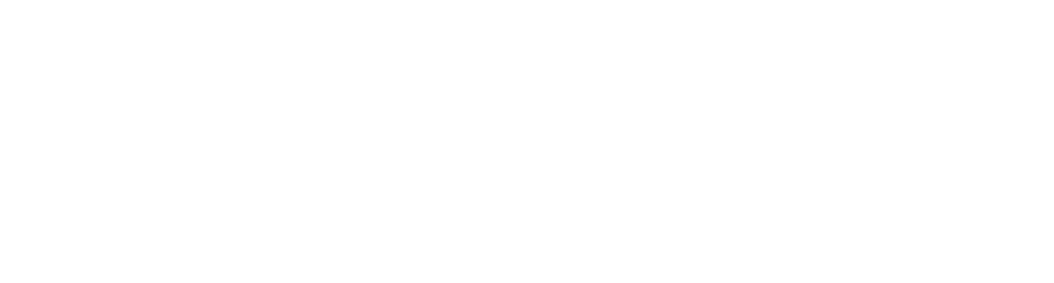 Aidela Logo