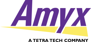 Amyx Inc