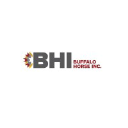 Buffalo Horse Inc Logo