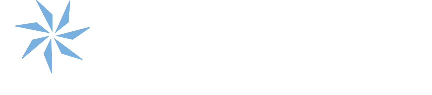 Cherokee Nation Businesses LLC