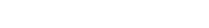 DS Bus Lines Inc. Logo