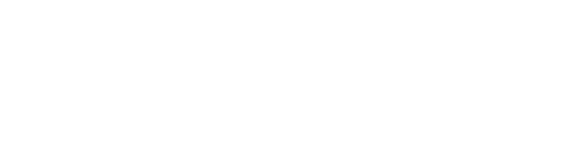 MasterCorp Inc.