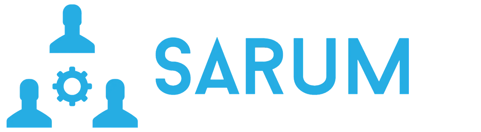 Sarum LLC